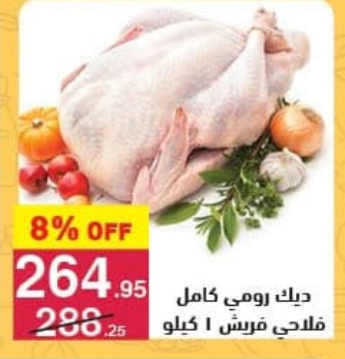 available at محمود الفار in Egypt - القاهرة