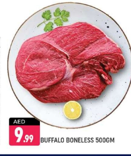 Buffalo available at Shaklan  in UAE - Dubai