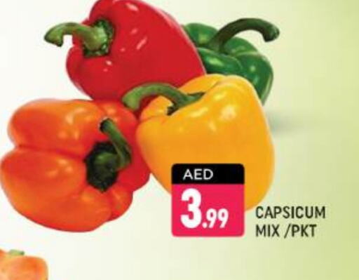 Chilli / Capsicum available at Shaklan  in UAE - Dubai