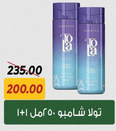 Shampoo / Conditioner available at Sarai Market  in Egypt - Cairo