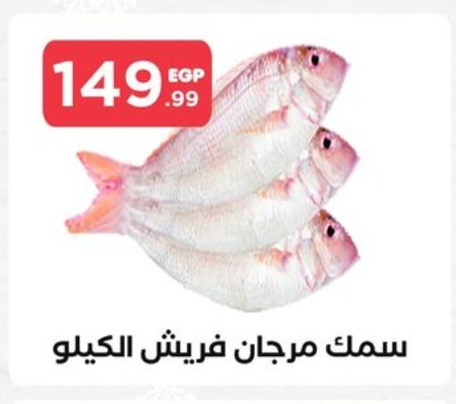 available at مارت فيل in Egypt - القاهرة