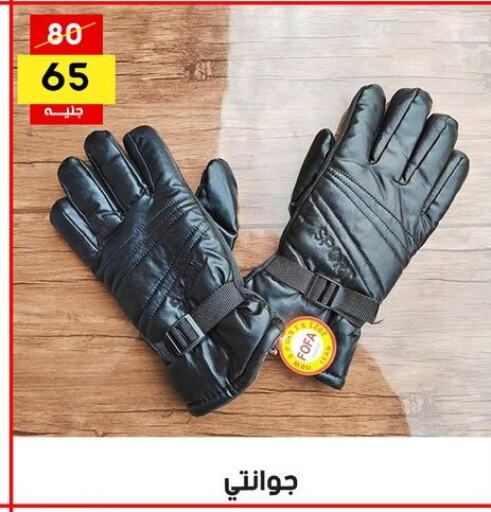 available at جراب الحاوى in Egypt - القاهرة