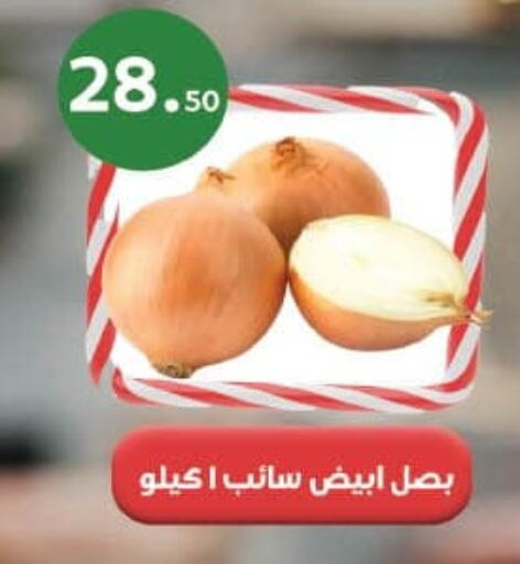 Onion available at Mahmoud El Far in Egypt - Cairo