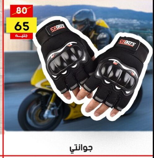 available at جراب الحاوى in Egypt - القاهرة