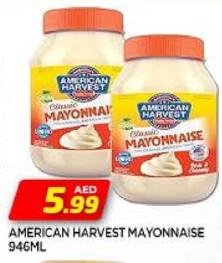 AMERICAN HARVEST Mayonnaise available at AL MADINA in UAE - Sharjah / Ajman