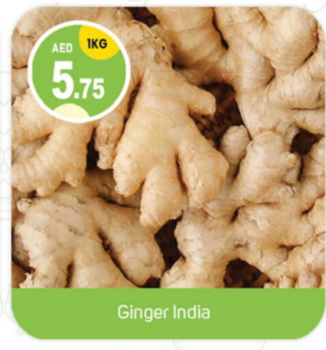 Ginger from India available at TALAL MARKET in UAE - Sharjah / Ajman