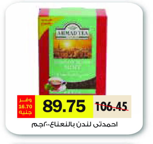 available at رويال هاوس in Egypt - القاهرة