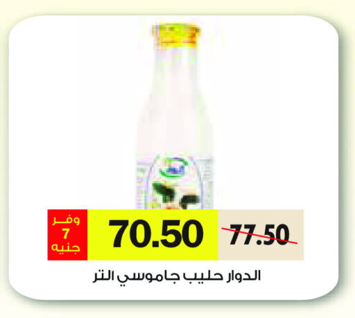 available at رويال هاوس in Egypt - القاهرة