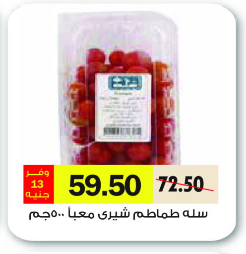 طماطم available at رويال هاوس in Egypt - القاهرة