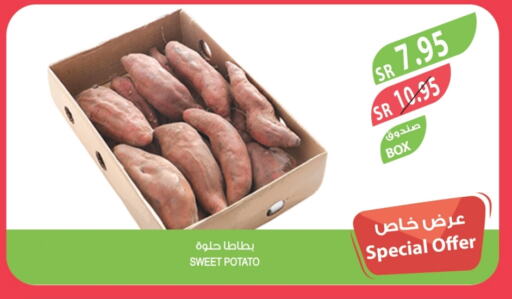 بطاطا حلوة available at المزرعة in مملكة العربية السعودية, السعودية, سعودية - تبوك