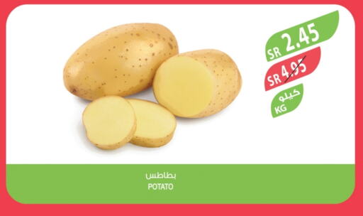 بطاطا available at المزرعة in مملكة العربية السعودية, السعودية, سعودية - تبوك