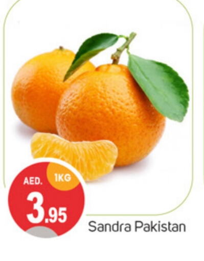 from Pakistan available at سوق طلال in الإمارات العربية المتحدة , الامارات - الشارقة / عجمان