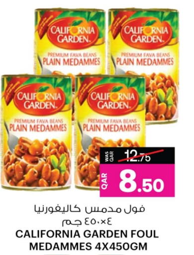 كاليفورنيا جاردن فول available at أنصار جاليري in قطر - الوكرة