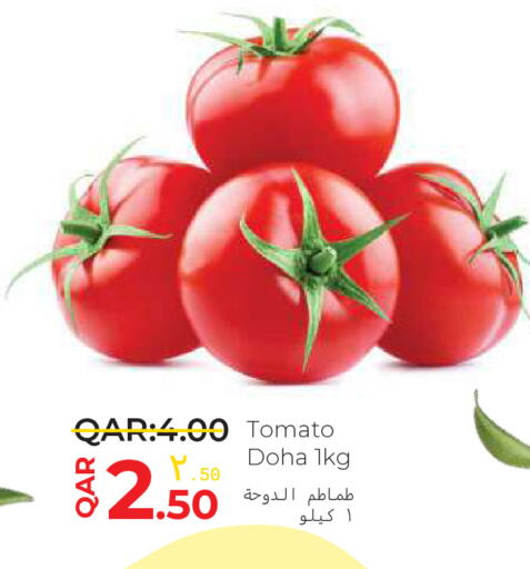 Tomato from Qatar available at Regency Group in Qatar - Al Rayyan