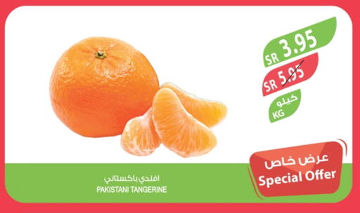 Orange from Pakistan available at Farm  in KSA, Saudi Arabia, Saudi - Al-Kharj