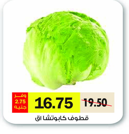 available at رويال هاوس in Egypt - القاهرة