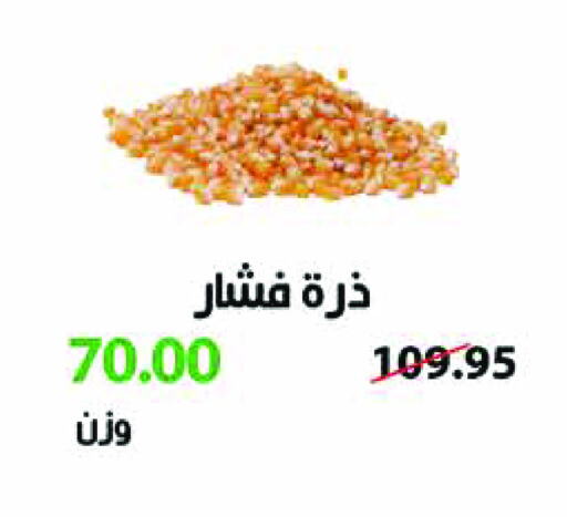 available at رويال هاوس in Egypt - القاهرة