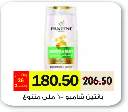 PANTENE Shampoo / Conditioner available at Royal House in Egypt - Cairo