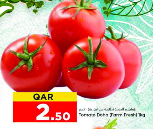 Tomato from Qatar available at Dana Hypermarket in Qatar - Al Rayyan