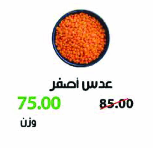 available at رويال هاوس in Egypt - القاهرة