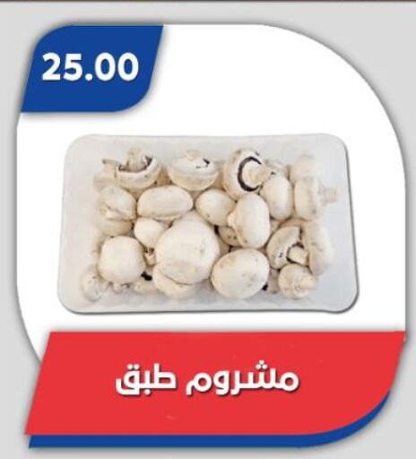 available at باسم ماركت in Egypt - القاهرة