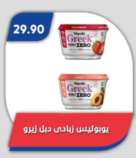 Greek Yoghurt available at Bassem Market in Egypt - Cairo