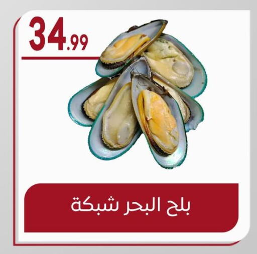 available at أولاد المحاوى in Egypt - القاهرة