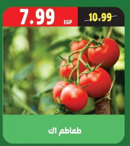 Tomato available at AlSultan Hypermarket in Egypt - Cairo