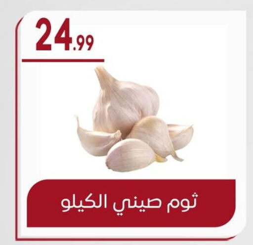 Garlic available at El mhallawy Sons in Egypt - Cairo