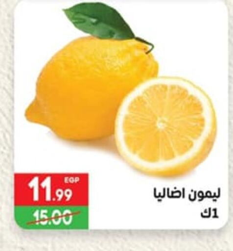 available at Hyper El Mansoura Shobra in Egypt - Cairo