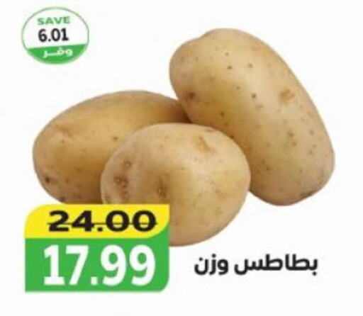 Potato available at The Mart  in Egypt - Cairo