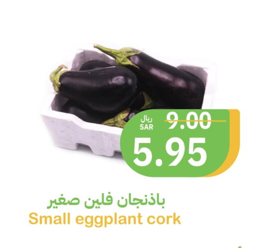 Eggplant available at Qateba Markets in KSA, Saudi Arabia, Saudi - Buraidah