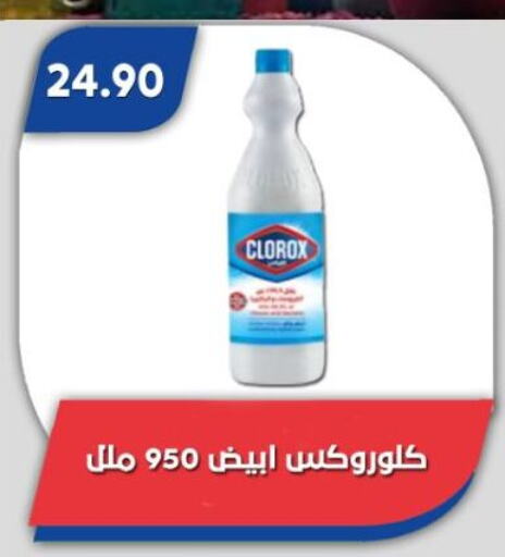 CLOROX General Cleaner available at Bassem Market in Egypt - Cairo