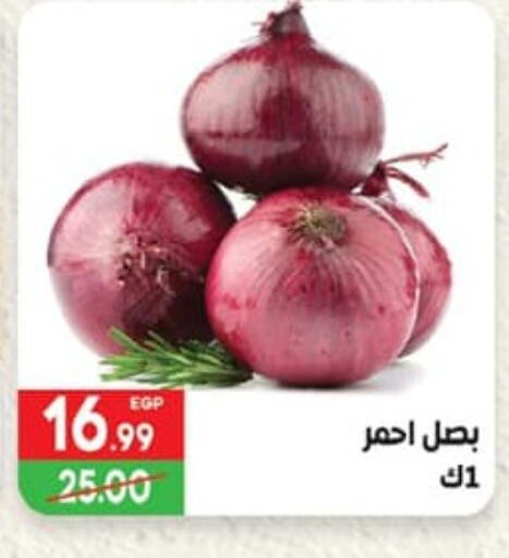 Onion available at Hyper El Mansoura Shobra in Egypt - Cairo