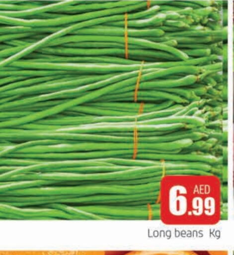 Beans available at AL MADINA (Dubai) in UAE - Dubai