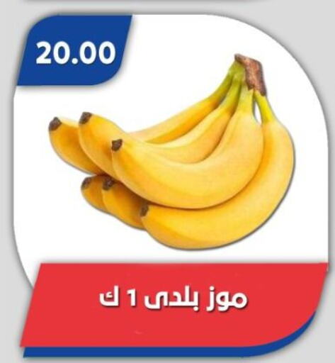 موز available at باسم ماركت in Egypt - القاهرة