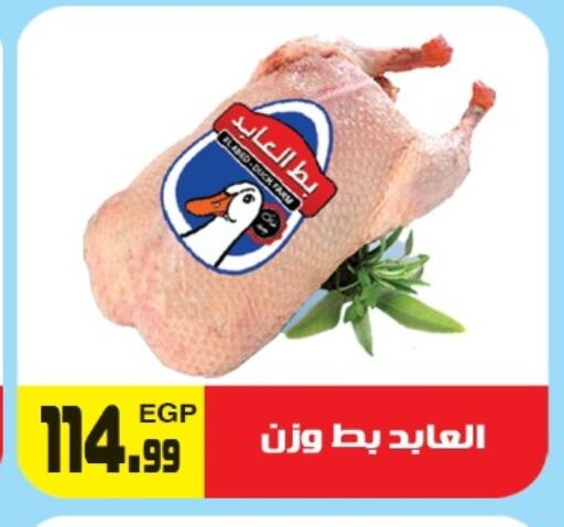 available at هايبر ال هواري in Egypt - القاهرة