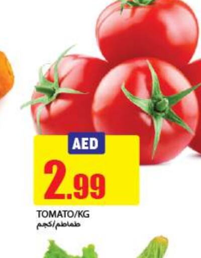 Tomato available at Rawabi Market Ajman in UAE - Sharjah / Ajman