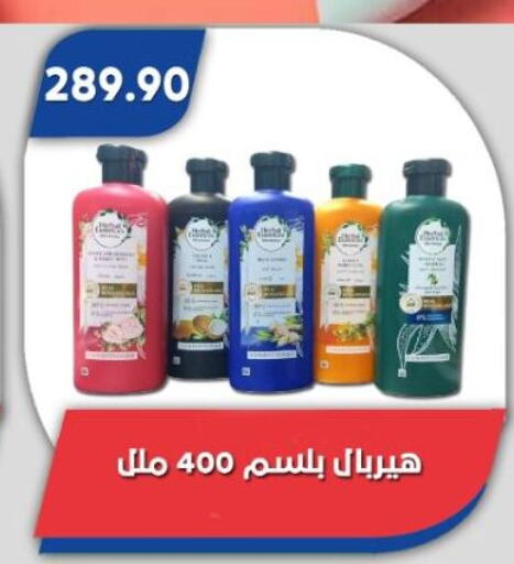 Shampoo / Conditioner available at Bassem Market in Egypt - Cairo