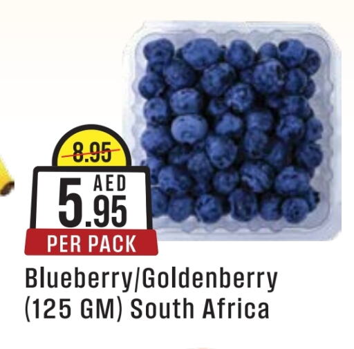 Blueberry BlueBerry from South Africa available at ويست زون سوبرماركت in الإمارات العربية المتحدة , الامارات - الشارقة / عجمان