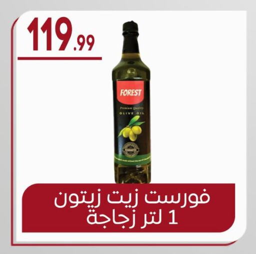 Olive Oil available at El mhallawy Sons in Egypt - Cairo