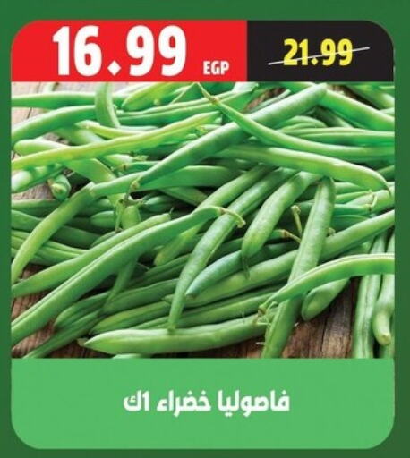 Beans available at AlSultan Hypermarket in Egypt - Cairo