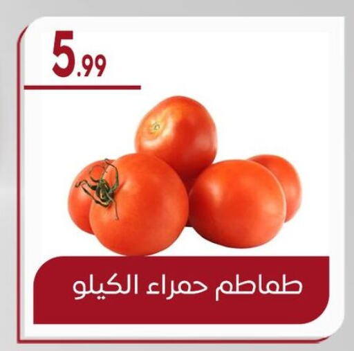 Tomato available at El mhallawy Sons in Egypt - Cairo