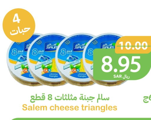 جبنة مثلثات available at أسواق قاطبة in مملكة العربية السعودية, السعودية, سعودية - بريدة