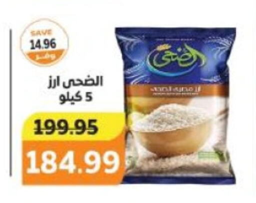 available at ذا مارت in Egypt - القاهرة