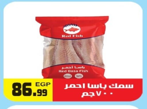 available at هايبر ال هواري in Egypt - القاهرة