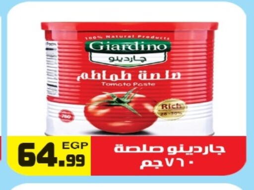 معجون طماطم available at هايبر ال هواري in Egypt - القاهرة