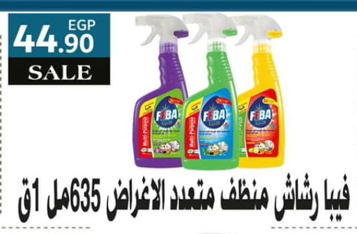 General Cleaner available at Hyper El Mansoura Shobra in Egypt - Cairo