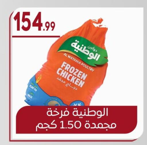 Frozen Whole Chicken available at El mhallawy Sons in Egypt - Cairo