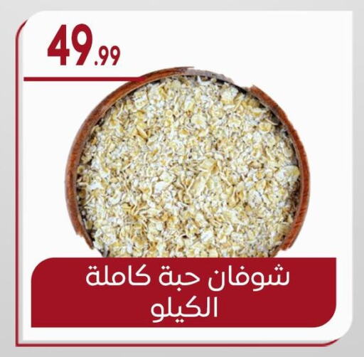 Oats available at El mhallawy Sons in Egypt - Cairo